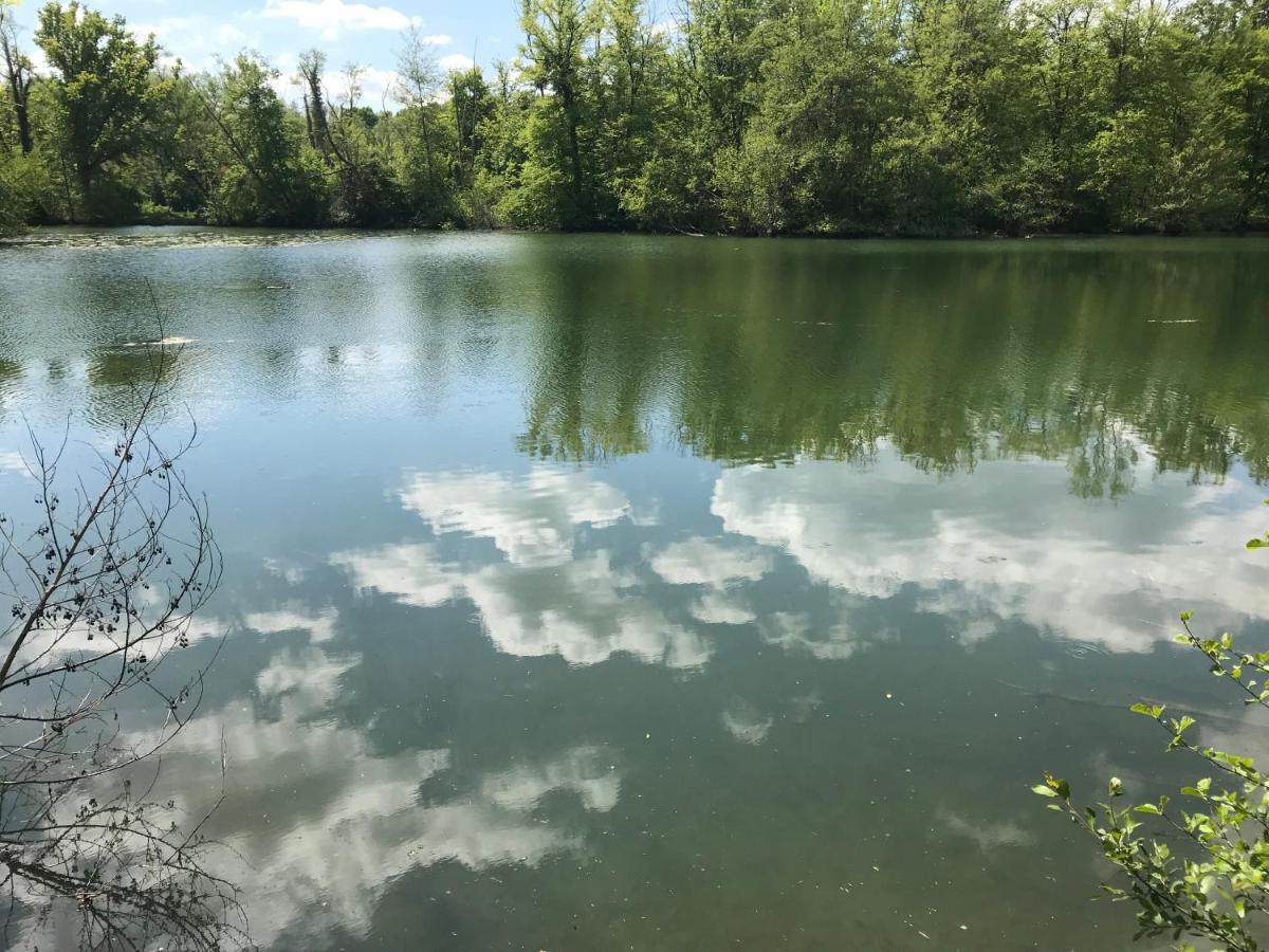 Toute Une Histoire Pres De Fontainebleau Veneux-les-Sablons Exteriör bild